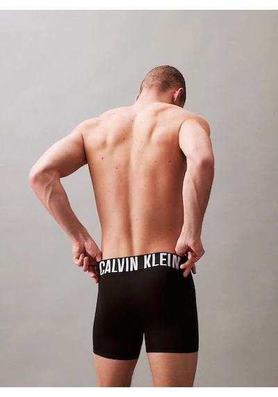 Calvin Klein Calvın Kleın Erkek 3 Lü Boxer Nb3612-001 Nb3612-001 Siyah Siyah