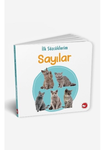 Ilk Kitaplığım 15 Kitap Ingilizce Türkçe Renkli Resimli Sertsayfa