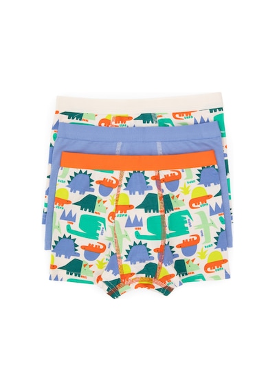 U.S. Polo Assn. Erkek Çocuk 3'lü Boxer Takım 50319387-VR036