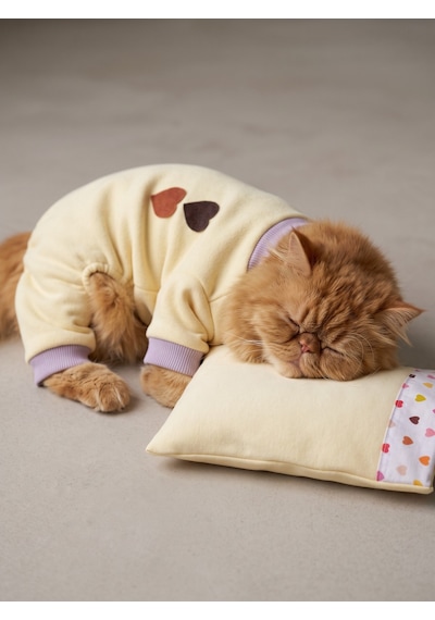 Winter Hearts Kedi Uyku Seti Penye Kedi Tulum Ve Mini Yastık Takımı Pamuklu Tüy Dökülmesini Azaltır