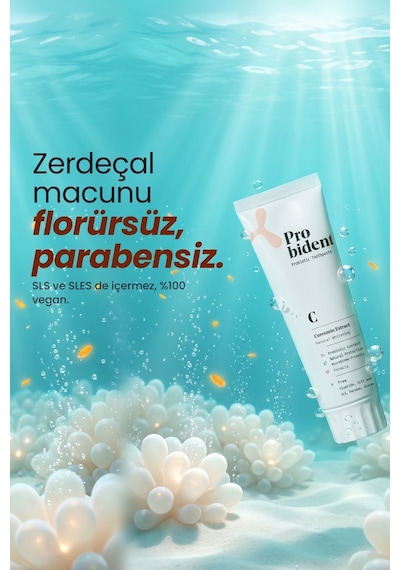Probident Zerdeçal Özütü İlaveli Probiyotik Diş Macunu 75 ML