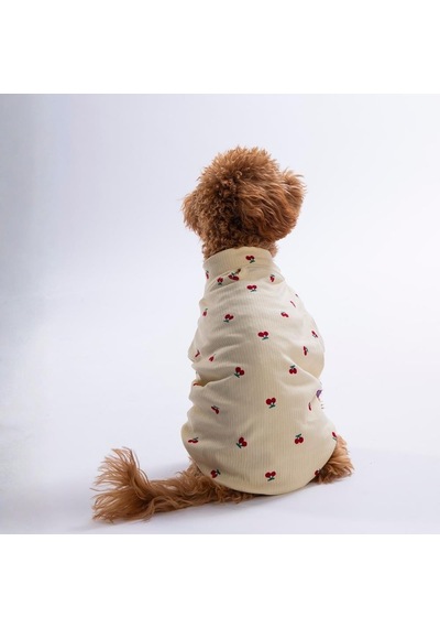 Cool Love Havalı Aşk 3'lü Sweat Set Kedi Köpek Sweati - Kedi Köpek Kıyafeti
