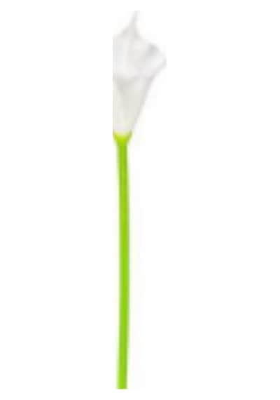 Yapay Calla Tek Dal Beyaz 35 Cm Çok Renkli