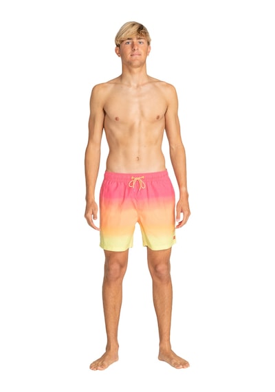 Bıllabong Billabong All Day Fade Lb Erkek Volley 27240 Çok Renkli