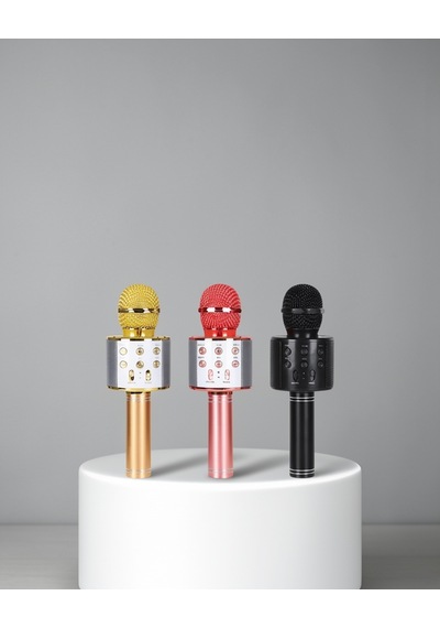 Karaoke Mikrofon Bluetooth Usb Aux Girişli Taşınabilir