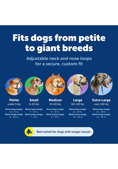 Nazik Lider Çekmesiz Köpek Başlığı - Çekmenin En İyi Çözümü - Köpeğinizin Çekmesini Daha Kolay Yürüyüşler İçin Yönlendirir - Kontrolü Yeniden Kazanmanıza Yardımcı Olur - Orta, Kömür Nazik Lider Çekmesiz Köpek Başlığı - Çekmenin En İyi Çözümü - Köpeğinizin Çekmesini Daha Kolay Yürüyüşler İçin Yönlendirir - Kontrolü Yeniden Kazanmanıza Yardımcı Olur - Orta, Kömür