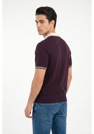 Baglan Erkek Spor Polo Yaka Triko Tişört Bgl-st05372 Mürdüm