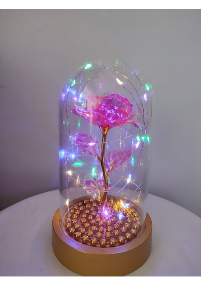 Pembe Gül Sarı Tabanlı Işıklı Fanus