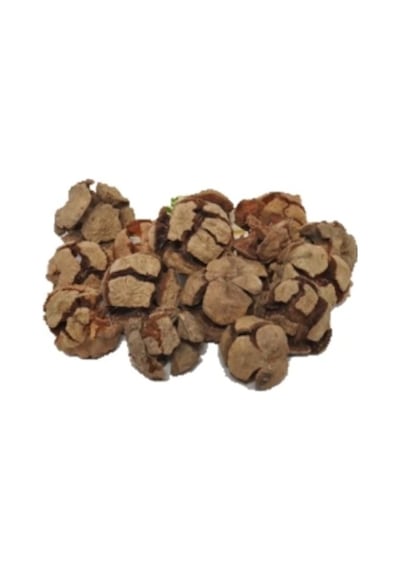 Selvi Kozalağı 250 G