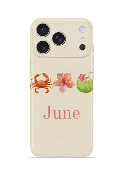 Apple iPhone Uyumlu 17 Pro Max Vorian İnce Kamera Korumalı Mika Kılıf June Seaside June Seaside Mika