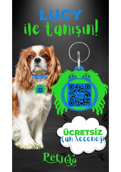Petjoo 11.Lucy Yeşil-Mavi Qr'lı Köpek Künyesi