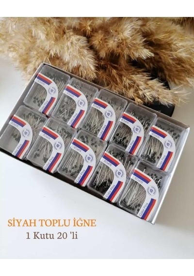 Toplu İğne 20 Li 1 Kutu Ms563 Çok  Renkli
