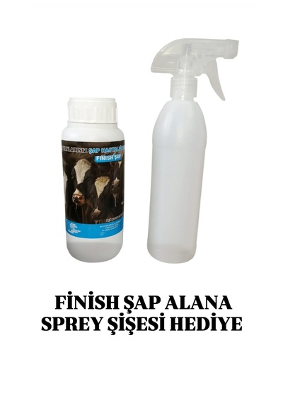 Fınısh Şap Şapa Son 600 Ml