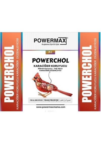 Powerchol Karaciğer Düzenleyici Karaciğer Koruyucu 250 ML