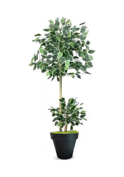 150 Cm Ficus Yapay Ağaç Bambu 2 Gövdeli Siyah Plastik Saksı Yeşil