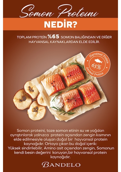 Bandelo Kısırlaştırılmış Somonlu Yetişkin Kuru Kedi Maması 750 Gr - Kilo Kontrolü, Tüy Sağlığı ve Koku Önleyici Etkili