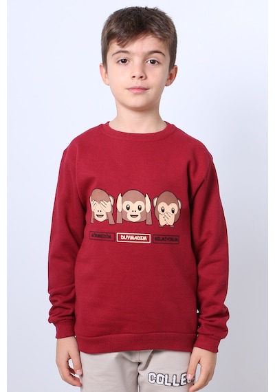 Hçm Erkek Çocuk Şardonlu Sweat Karakter Baskılı Ribanalı E34 Bordo
