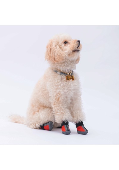 Pawstar Kırmızı Köpek Ayakkabısı