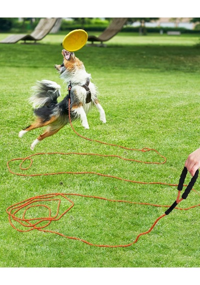 Köpekler İçin 5 M Çekme Halatı, Dolgulu Saplı Köpek Tasması, Küçükten Büyük Köpekler İçin Antrenman İpi, Turuncu