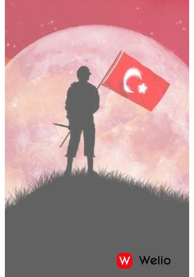 Wkey T100 Gümüş Tuşlu Cep Telefonu Kamerasız Asker Telefonu Yaşlı Cep Telefonu Kvk Garantili