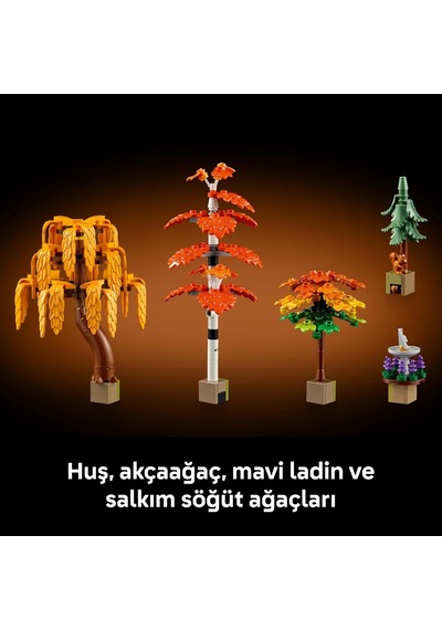 Icons Sonbahar Bağ Evi Bahçesi 11372
