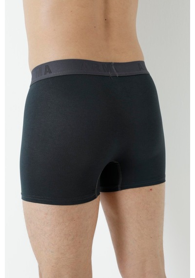 Arma Yıldız Erkek Füme Bambu Boxer 3'lü Paket-füme Füme
