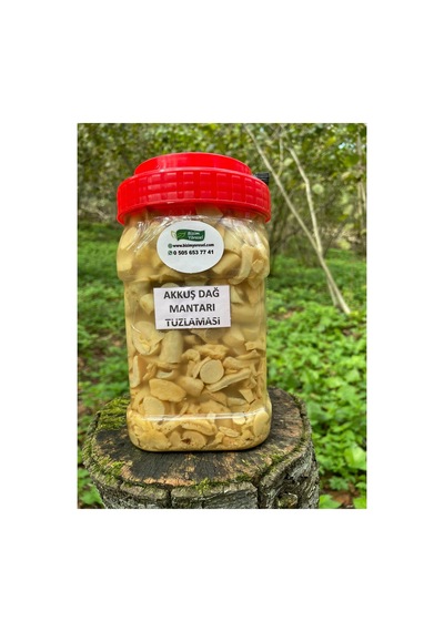 Akkuş Dağ Mantarı Tuzlaması 1 Kg