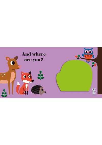 Where's Mr Owl? - Ingela  Arrhenius - NOSY CROW