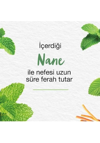 Himalaya Mint Fresh Ferahlatıcı Diş Macunu 3 x 75 ML