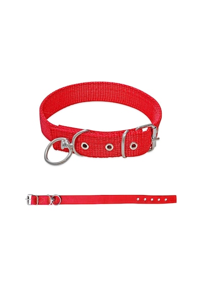 Savex Dokuma Köpek Boyun Tasması Kırmızı 3 60 Cm Fosforlu Sarı