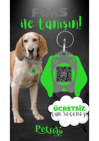 Petjoo 29.Foks Yeşil-Gri Qr'lı Köpek Künyesi