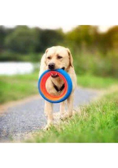 Fetch Wheel Köpek Oyun Halkası Küçük Boy