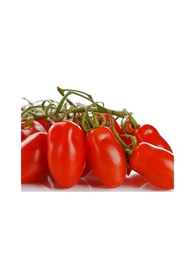Ayrex 20 Adet Patio San Marzano Domates Tohumu