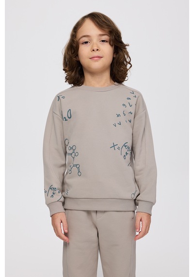 Panço Erkek Çocuk Baskılı Taş Sweatshirt Gri