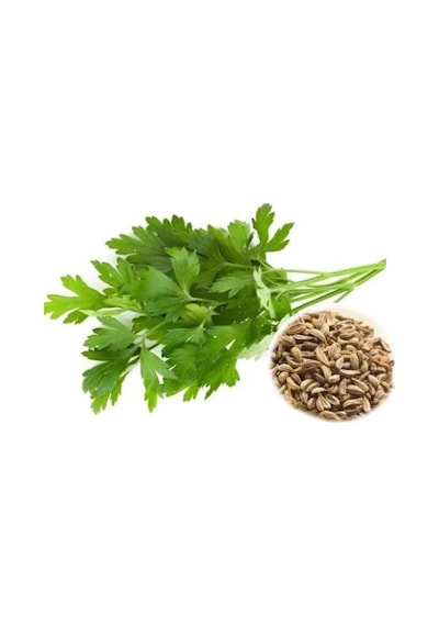 Tedar Maydanoz Tohumu 25 Gr Najmaddin Standart