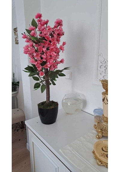 Soft Sakura Pembe Bahardalı Ağacı 75 Cm Masaüstü Dekoratif Yapay Ağaç