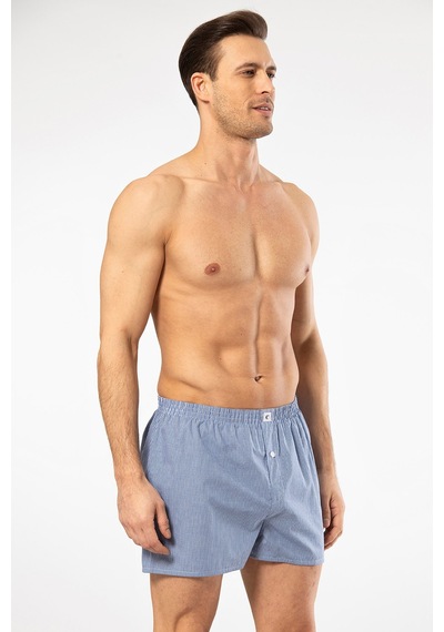 Cacharel 1113 Erkek Poplin Boxer-mavi Mavi