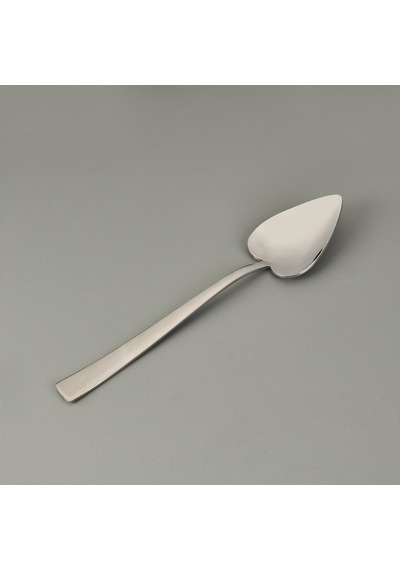 Nehirr Can Canan 12'li Sade Tatlı Çatal Kaşık Takımı - Gri - 16,2 Cm Çok Renkli