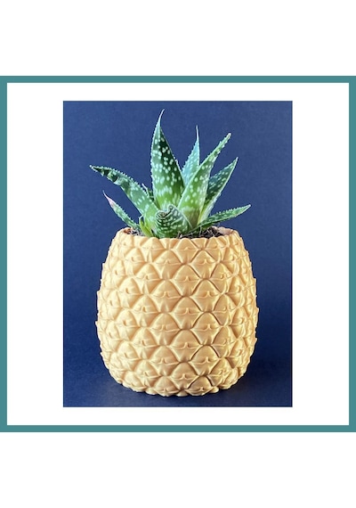 Trendexa 3d Baskı Ananas Formlu Saksı Ve Kalemlik Kabartma Dokulu Sukulent Saksısı Masaüstü Bitki Ve Kalem Tutucu Mac Standart