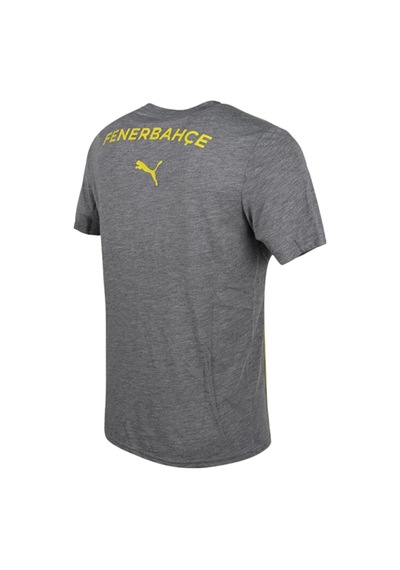 Fenerium Fenerbahçe Puma Fenerbahçe Grı Tshırt Uv Ahşap Kutu Gri