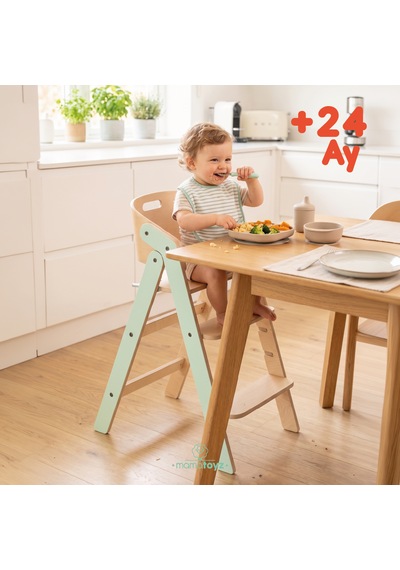 Mamatoyz Mychair Only Chair Mint Mama Sandalyesi Sadece Sandalye Versiyonu
