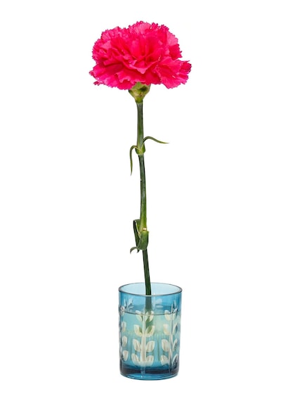 Flora Design- Minimal Mavi Yaprak Kesme Cam Vazo Mavi