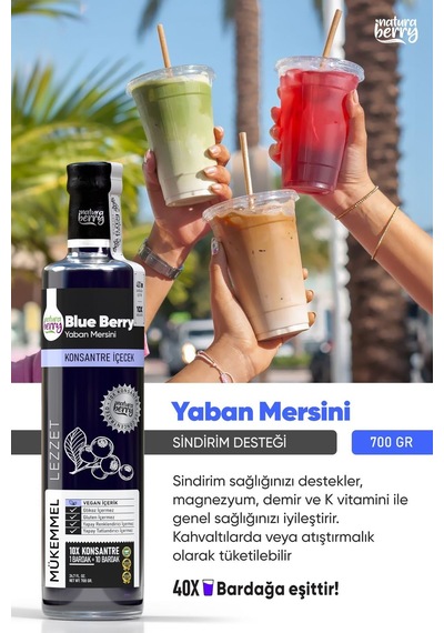 Yaban Mersini Konsantresi 700gr - 655766249 Diğer