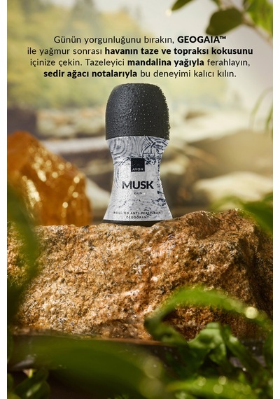 Musk Rain Erkek Roll-on 50 Ml. Üçlü Paket