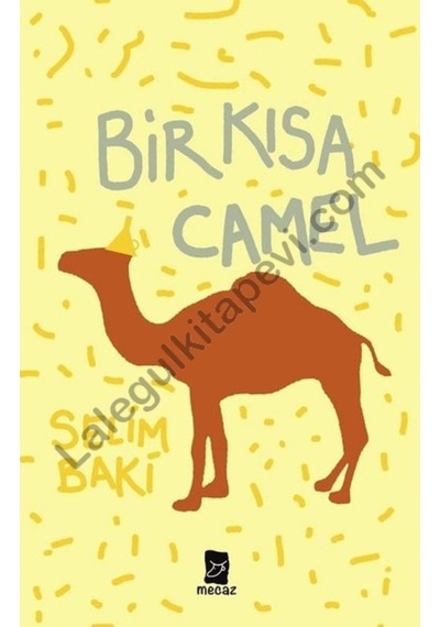 Bir Kısa Camel - Selim Baki - Mecaz