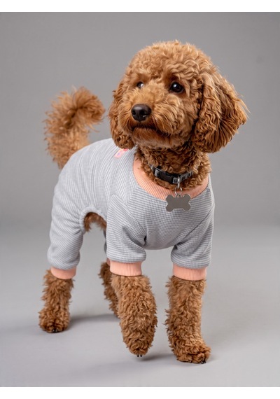 Sweet Cupcake Köpek Tulumu Gri Pötikare Desenli Pembe Ribanalı Penye Köpek Kıyafeti