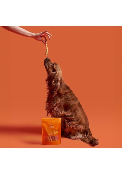 Ayrex Kito Kurutulmuş Dana Kuyruk Çiğnemelik Köpek Ödül Maması%100 Doğal, Glutensiz, Organik 100 Gr Dog Treat