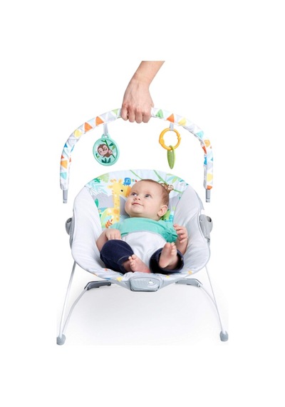 Bright Starts Bebek Salıncağı, Rahatlatıcı Titreşimli Bebek Ana Kucağı