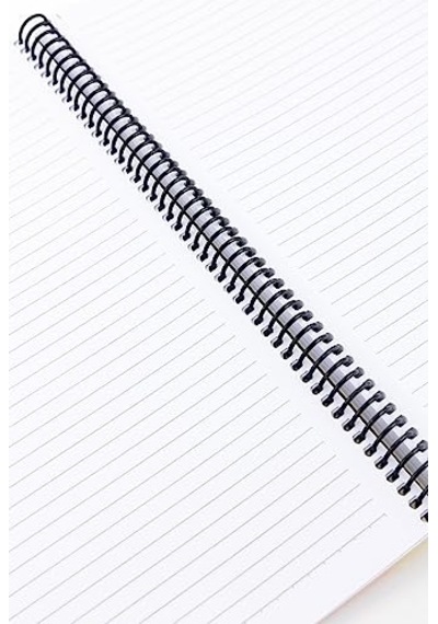 Sheaffer 3272 Sentinel Tükenmez Kalem Siyah Altın ---