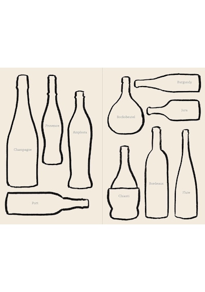 Wıne: Everything You Need To Know